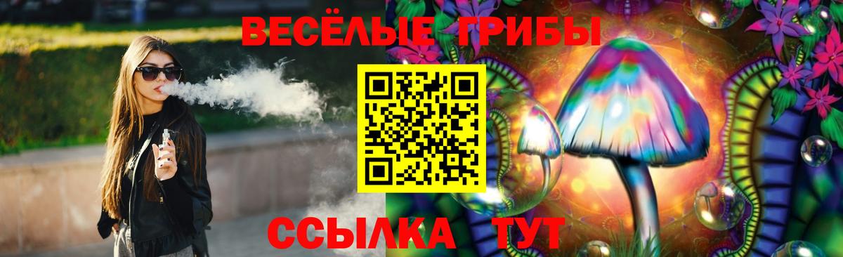 Прохладный  Псилоцибиновые грибы мицелий  Вход с VPN 